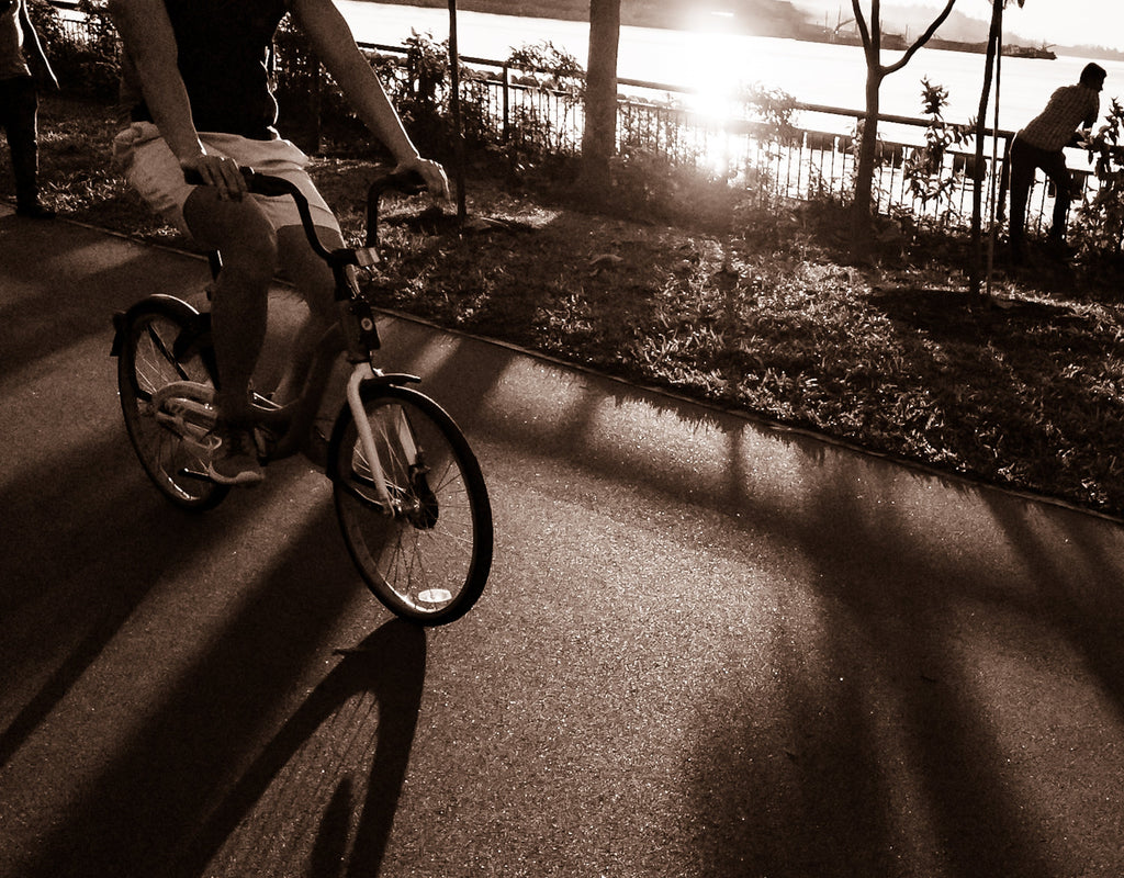 Shadow of cyclist exercising in the early evening on a coastal park by the waters.