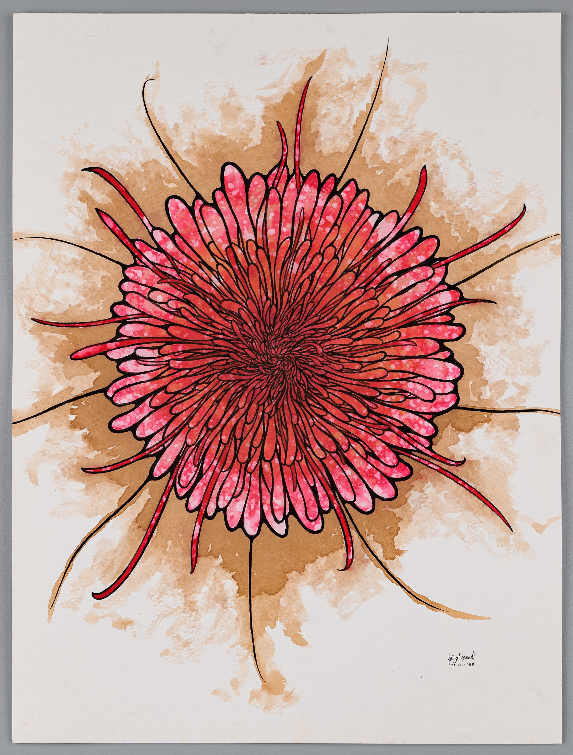 Botanical modern illustration painting in watercolour, Blossoming in Mud, beauty is humble by birth.